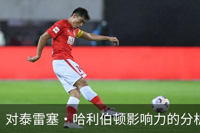 对泰雷塞·哈利伯顿影响力的分析与展望